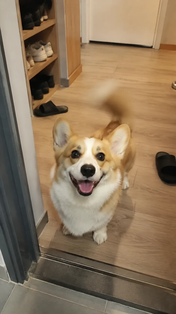 An example of the photo this effect takes: One clear photo of your pet — face, eyes and fur visible